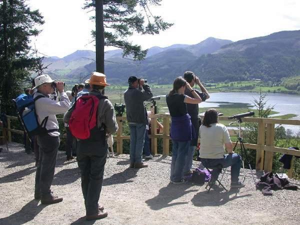 Lodge By The Lake - Lake District - Hot Tub Bassenthwaite Extérieur photo