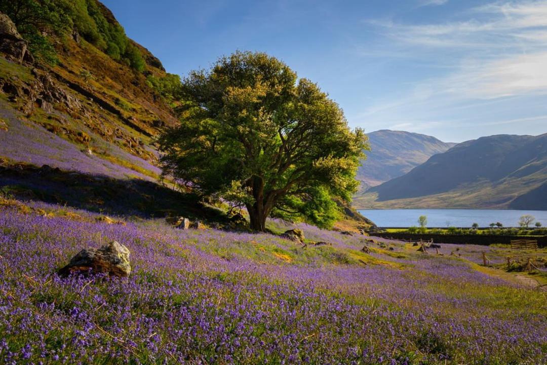 Lodge By The Lake - Lake District - Hot Tub Bassenthwaite Extérieur photo